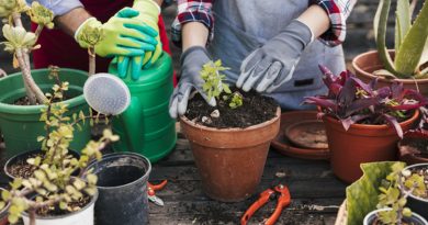 Estudos confirmam que a jardinagem é um ótimo remédio contra o estresse Estudos confirmam que a jardinagem é um ótimo remédio contra o estresse