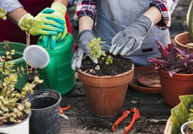 Estudos confirmam que a jardinagem é um ótimo remédio contra o estresse