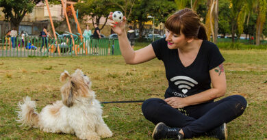 Pet sitting e consultoria comportamental: bem-estar para o seu pet e tranquilidade para você Pet sitting e consultoria comportamental: bem-estar para o seu pet e tranquilidade para você