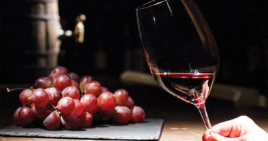 Yes! Nós temos vinhos! Yes! Nós temos vinhos!
