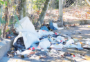 Parque das Mangabeiras tem portaria fechada desde a pandemia