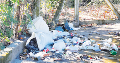 Parque das Mangabeiras tem portaria fechada desde a pandemia
