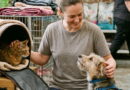 PBH abre inscrições no Cadastro de Protetores de Animais Domésticos que atuam de forma independente na capital