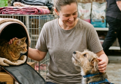 PBH abre inscrições no Cadastro de Protetores de Animais Domésticos que atuam de forma independente na capital